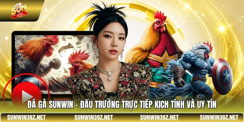 Đá Gà SUNWIN - Đấu Trường Trực Tiếp Kịch Tính Và Uy Tín