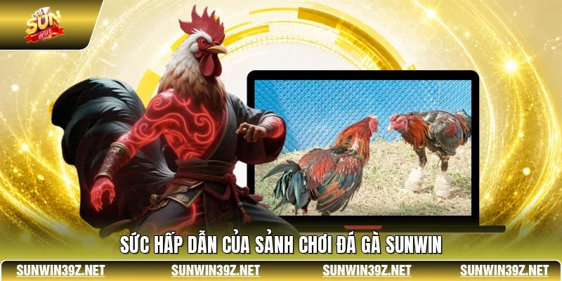 Đá Gà SUNWIN - Đấu Trường Trực Tiếp Kịch Tính Và Uy Tín 10 Sunwin Sức hấp dẫn của sảnh chơi đá gà SUNWIN